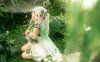 蠢沫沫大慈树王COS：完美演绎原神草神的神秘与性感